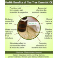 Aceite de árbol de té de Australia para el tratamiento del acné